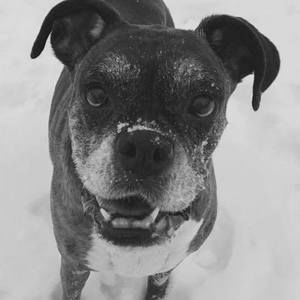 Meet your Posher, Katrina